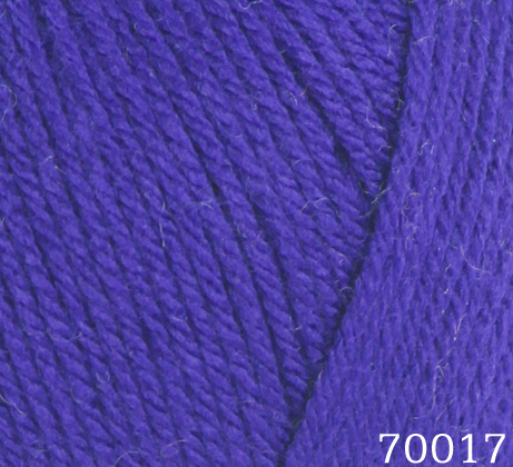 70017 shiny purple