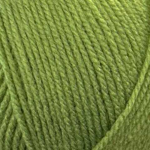 2176 Leaf